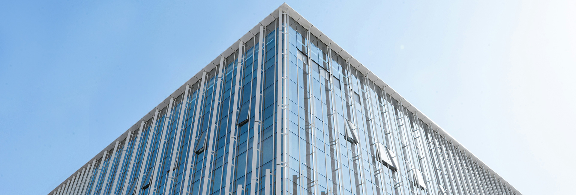 esball(中国区)官方网站